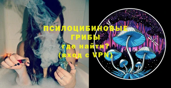 метадон Горняк