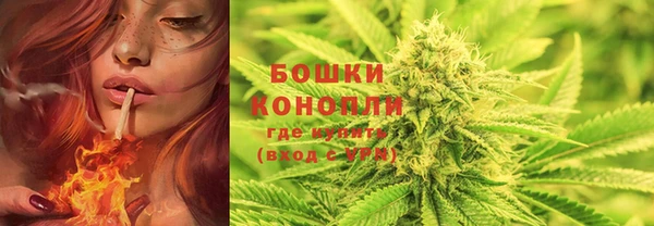 метадон Горняк