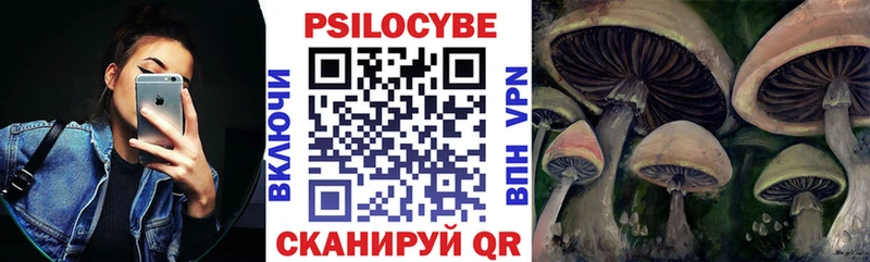Купить закладки  Алексин  Псилоцибиновые грибы Cubensis 